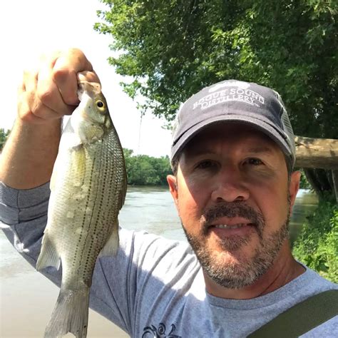 ᐅ wabash river fishing reports🎣• Lafayette, IN (United States) fishing