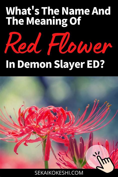 The Secret Of Demon Slayer: The Name And Hidden Meaning Of RED FLOWER ...