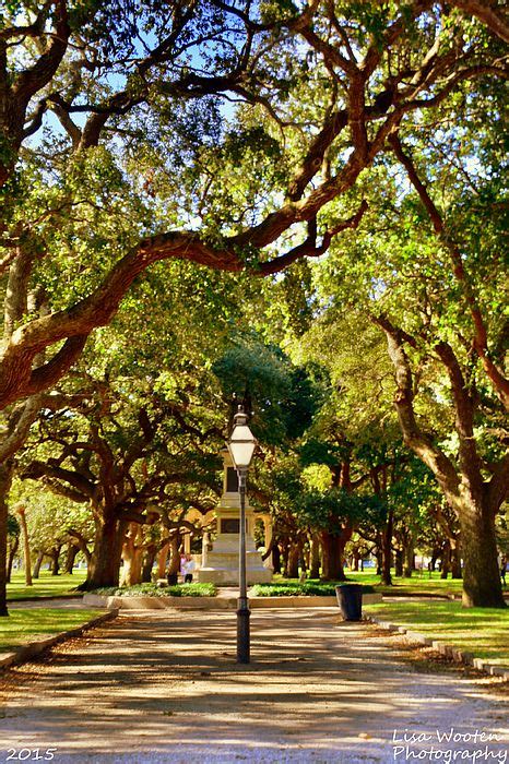 Battery Park Charleston SC by Lisa Wooten | City of charleston, Battery ...