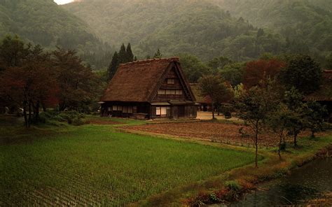 nature, Cabin, Grass, Forest, Japan Wallpapers HD / Desktop and Mobile ...