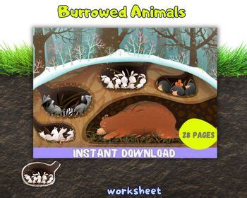 Burrowed Animals Worksheets by LolliArtDesignes | TPT