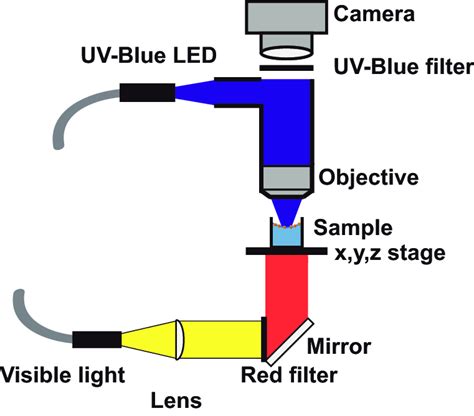 Figure A.1: Schematic of the custom built upright microscope for... | Download Scientific Diagram