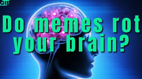 Do Memes Rot Your Brain? (5 Myths and Truths!) - GIF Like