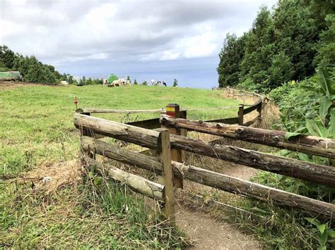 Hiking in the Azores | The BEST Azores Trails Guide | TripTins