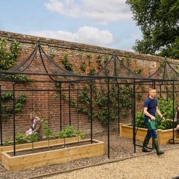 Steel Fruit Cages - Plant Protection by Harrod Horticultural