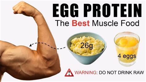 5 Reasons Eggs Are The Best Muscle Building Food (10+ Scientific ...