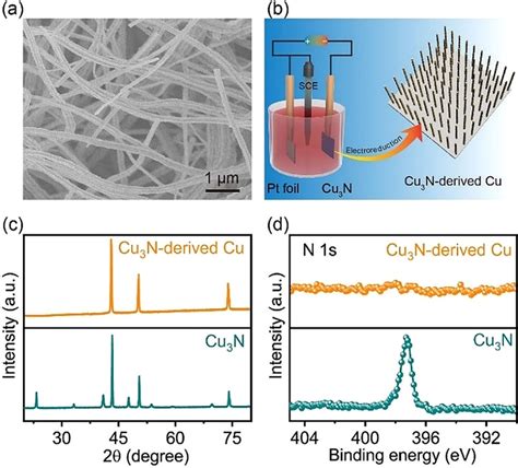 a) SEM image of Cu3N NWs. b) Schematic illustration of the synthesis of ...