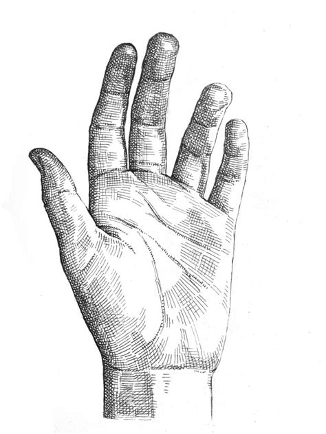 Crosshatching: How to draw a hand - Artists & Illustrators