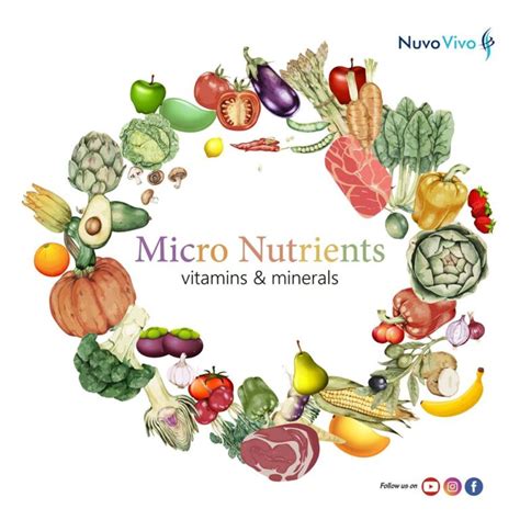 What are Micronutrients? - NuvoVivo: Reverse Your Age & Lifestyle Diseases