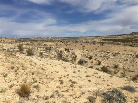 5 Facts About the Chihuahuan Desert – Explore Texas