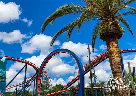 A Guide to Busch Gardens Tampa Rides - Family Travel Magazine