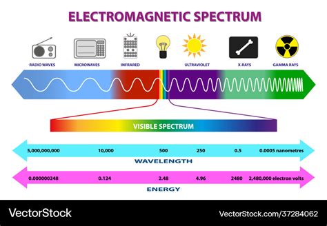 Set electromagnetic spectrum diagram or radio Vector Image