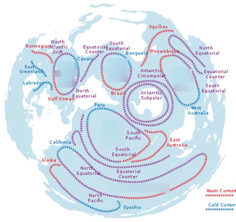 Ocean gyre Diagram | Quizlet