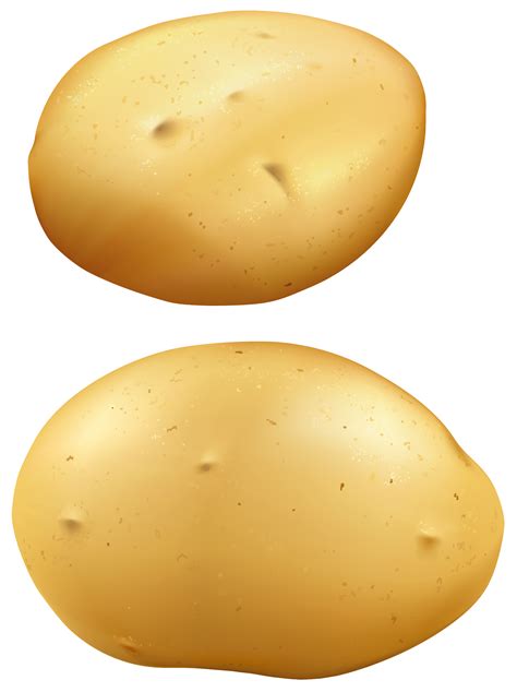 Potato PNG Transparent Potato.PNG Images. | PlusPNG