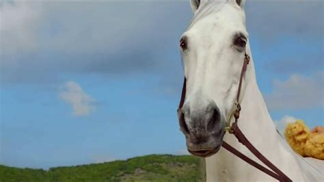 DirecTV TV Spot, 'Hannah Davis and Her Horse: Bath' Featuring Hannah ...