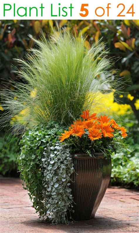 Pin on flowerpot outdoor arrangements