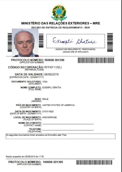 Brazil Visa Application Form Printable - Printable Forms Free Online