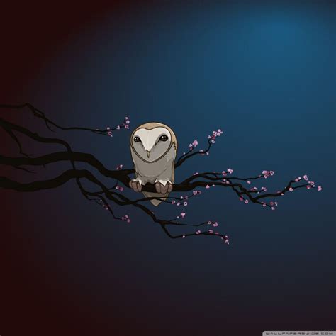 Owl Wallpapers For Android - Wallpaper Cave