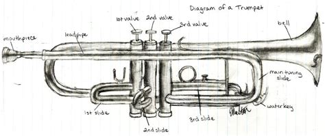 diagram of a trumpet by em314 on DeviantArt