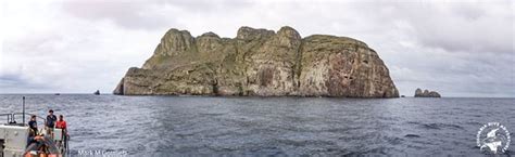 THE BEST Things to Do in Malpelo Island - 2021 (with Photos) - Tripadvisor