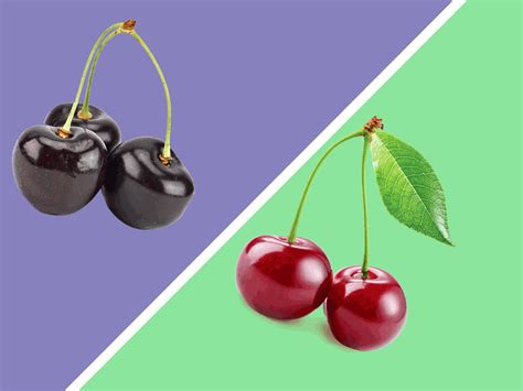The Difference Between Sweet and Sour Cherries - Chatelaine