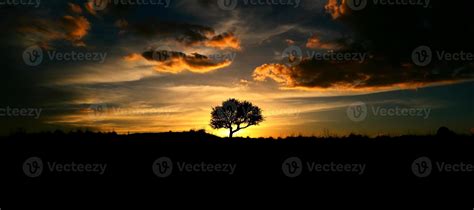 silhouette of an oak tree at sunset 14885762 Stock Photo at Vecteezy