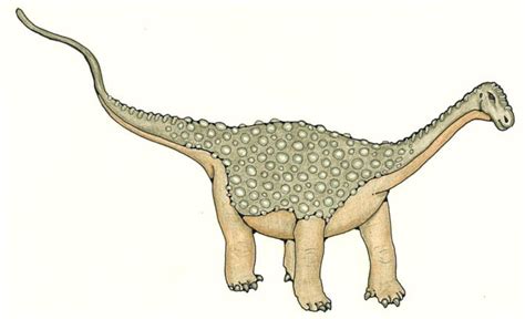 Saltasaurus Pictures & Facts - The Dinosaur Database