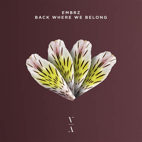 Back Where We Belong | EMBRZ | This Never Happened