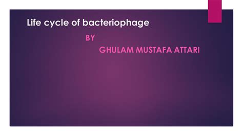 SOLUTION: Life cycle of bacteriophage - Studypool