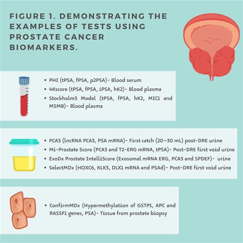 Prostate Cancer Liquid Biopsy Biomarkers | Encyclopedia MDPI