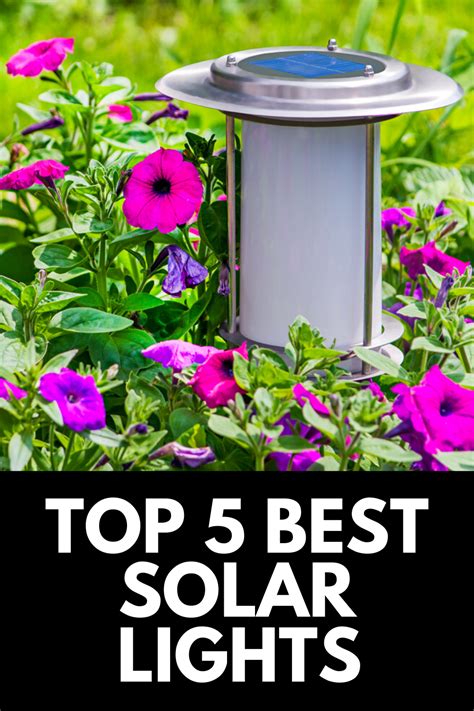 The Best Solar Lights for Your Home (and Where to Buy Them!) 2024 | Best outdoor solar lights ...