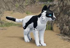 wcue morph inspo in 2024 | Warrior cat, Warrior cats, Chibi body