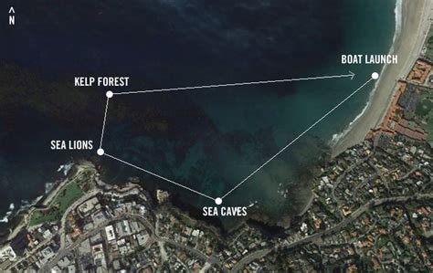 La Jolla Cove Kayaking, San Diego | Day Trips L.A.