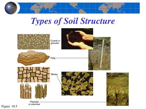 PPT - Chapter 18 The Geography of Soils PowerPoint Presentation - ID:1362059