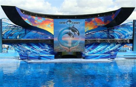 SeaWorld Orlando Offers Sneak Peek of its Future Before One Ocean Show ...