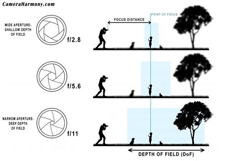 Camera Aperture: A Beginner’s Guide – Camera Harmony