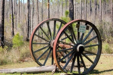 Old Log Cart Wheels Free Stock Photo - Public Domain Pictures