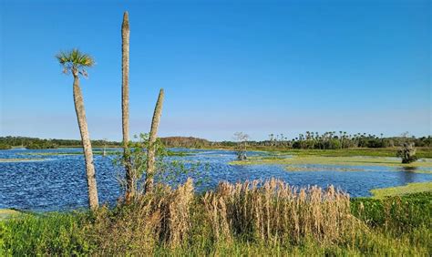 Orlando Wetlands Park - Go Wandering