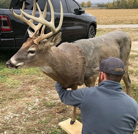 10 Best Deer Decoy For Hunting [2021 Review] | EfficientHunting