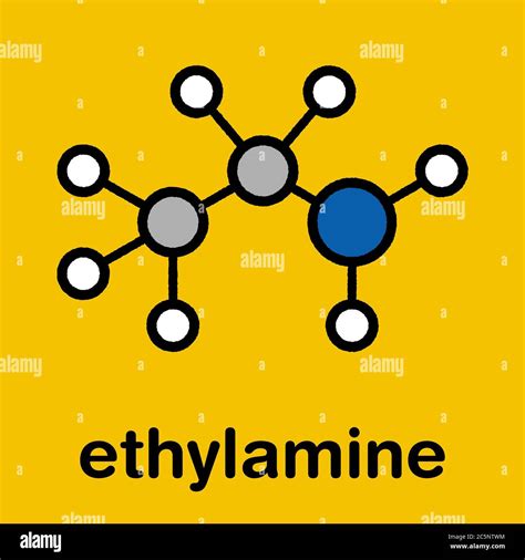 Ethylamine organic base molecule. Stylized skeletal formula (chemical structure): Atoms are ...