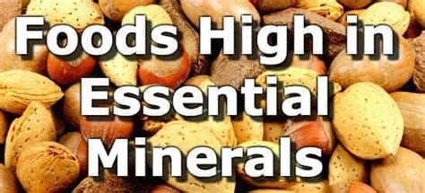 The Top 15 Foods Highest in Minerals