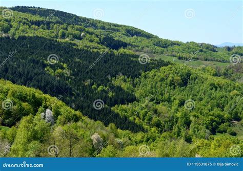 Landscape of green hills stock image. Image of hill - 115531875