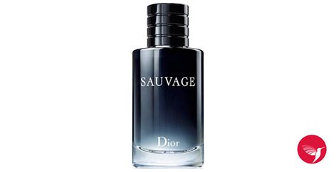 Sauvage Christian Dior cologne - a new fragrance for men 2015