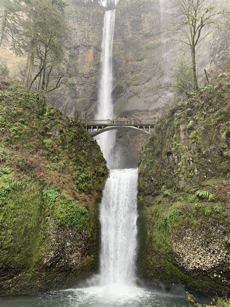 Multnomah Falls! Hike was beautiful just after the rains. : r/hiking