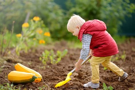 Chalky Soil Characteristics: Understanding Soil Composition and Properties