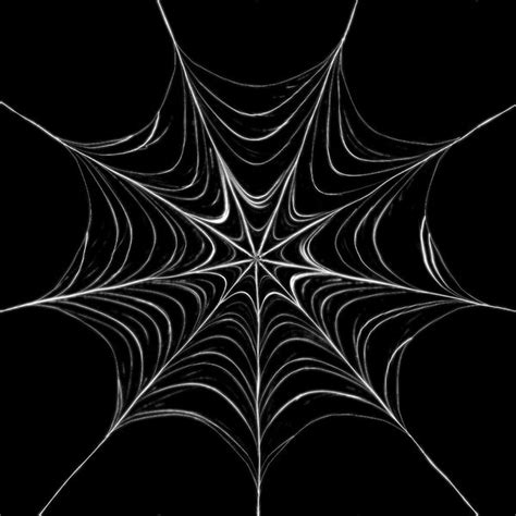 Spiderweb Background - WallpaperSafari