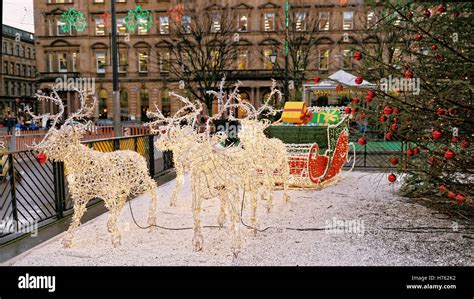 Glasgow Loves Christmas celebration George Square lights reindeer and sleigh decorations Glasgow ...