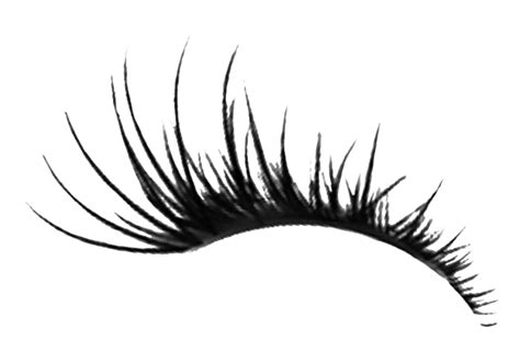 Cartoon Lashes Png - PNG Image Collection