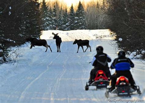 Maine Snowmobiling @ eTravelMaine