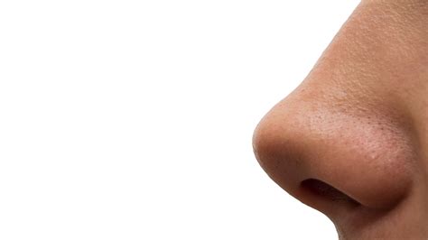 15 Unbelievable Facts About Nose - Facts.net